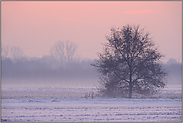 auf den Feldern... Winterabend *Meerbusch*