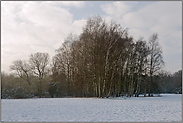 Birkenwäldchen... Meerbusch *Nordrhein-Westfalen*