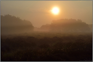 Licht... Sonnenaufgang *Heidelandschaft*