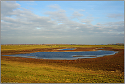 die Flutmulde... Bislicher Insel *Nordrhein-Westfalen*