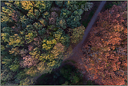 Farben des Herbstes... Laubwald *Nordrhein-Westfalen* von oben