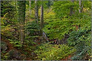 Herbststimmung... Felsenmeer *Sauerland*