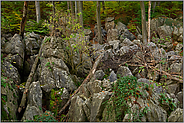 umgefallene Bäume und Totholz... Felsenmeer *Sauerland* bei Hemer