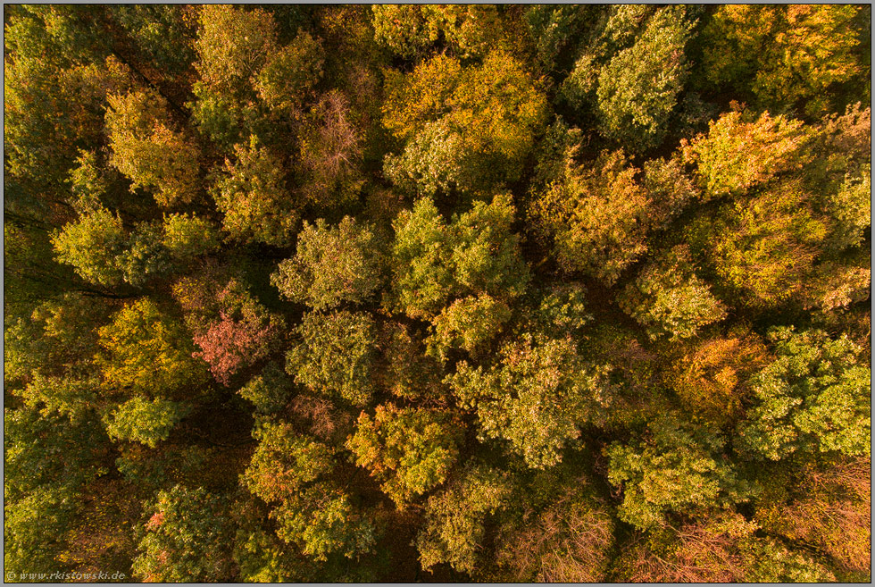 leuchtende Herbstfarben... Laubwald *Oktober*