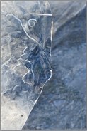 das Gesicht... Eisskulpturen *Winterhochwasser Niederrhein 2020/2021*, Kunst in der Natur