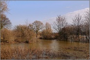 mittleres Hochwasser... Rhein *Nordrhein-Westfalen* auf der Höhe von Düsseldorf