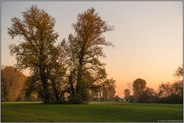 in den Rheinauen... Meerbusch *Langst-Kierst*, Laubverfärbung im Herbst