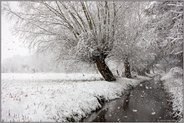 Schneefall am Niederrhein... Meerbusch *Ilvericher Altrheinschlinge* am Kringsgraben im Winter