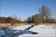 in den Meerbenden... Ilvericher Altrheinschlinge *Meerbusch* im Winter bei Eiseskälte, Schneelage und schönem Wetter